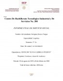 INFORME FINAL DE SERVICIO SOCIAL