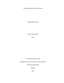 Ensayo de la economia internacional