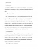 Ensayo sobre constitución política