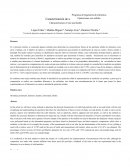 Caracterización de partículas sólidas