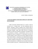 LA EDUCACION AMBIENTAL COMO UNIDAD CURRICULAR O COMO FORMA DE VIDA CIUDADANA