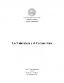 La Naturaleza en Tiempo de Covid