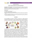 Natura: Análisis y Diagnóstico de Canales de Distribución