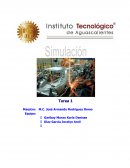 PROBLEMAS SIMULACION