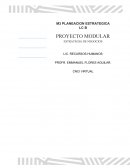 M3 PLANEACION ESTRATEGICA LC B PROYECTO MODULAR ESTRATEGIA DE NEGOCIOS