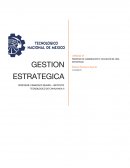PROCESO DE ELABORACION Y EJECUCION DE UNA ESTRATEGIA