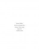 Tarea semana 8 Liderazgo y trabajo en equipo