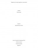 Diagnósticos de riesgos ergonómicos y psicosociales