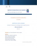GESTIÓN DE CAPITAL HUMANO Unidad 2. Planeación estratégica del capital humano