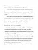 Gas natural en Venezuela