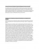 ¿Crees que la elección de establecer el parque de disneyland en Francia fue acertada?