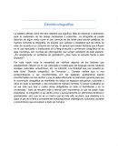 Desidia ortográfica