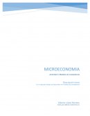 Microeconomía. Modelos de competencia