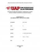 LABORATORIO Nº 2 RECOMENDACIONES Y ADECUACIÓN DE HIERRO