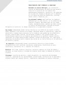 Descripcion de puestos Tecnicos