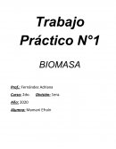 Trabajo Práctico N°1 BIOMASA
