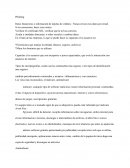 Seguridad informatica. Phishing