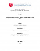 DIAGNOSTICO GESTIÓN DE TALENTO HUMANO