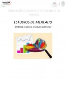 Estudio preeliminar de mercado