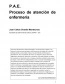 P.A.E. Proceso de atención de enfermería