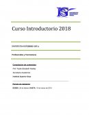 Curso Introductorio 2018