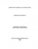 Administración documental en el entorno laboral