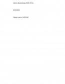 Informe de psicologia evolutiva