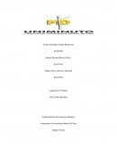 Administración de empresas. Legislación Tributaria