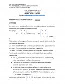 GUIA TEORICO-PRACTICA MATEMATICA 5 TO AÑO