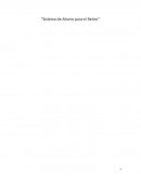 SISTEMA DE AHORRO PARA EL RETIRO SAR