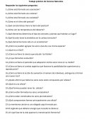 Trabajo práctico de Ciencias Naturales