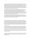 Arquitectura LTE/SAE