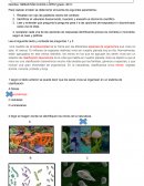 TP Biodiversidad de la Tierra