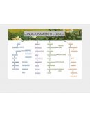 Condicionamiento clásico