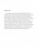 Matriz PEYEA a la empresa DROGUERÍA VITAL SALUD JP