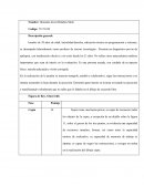 Informe Figura del Rey