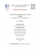 Unidad 1 diseño organizacional