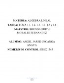 TEMA ÁLGEBRA LINEAL