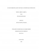 PLAN DE MARKETING ADECUADO PARA EL SHAMPOO MAX STRONG MAN