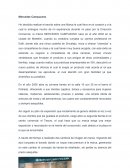 Analisis Publicitario.Mercedes Campuzano