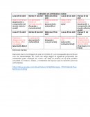 Calendario de actividades a realizar