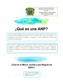 Áreas Naturales Protegidas