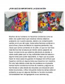¿Por qué es importante la educación ambiental?