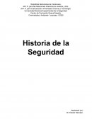 Historia de la seguridad