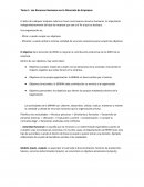 Los Recursos Humanos en la Dirección de Empresas