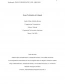 PROBLEMATICA DEL ABOGADO