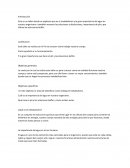 Metabolismo y la gran importancia del agua en nuestro organismo