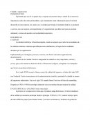 Calidad y Organización de una empresa