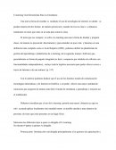 E-learning Una Herramienta Para La Enseñanza