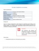 Auditando a la empresa
